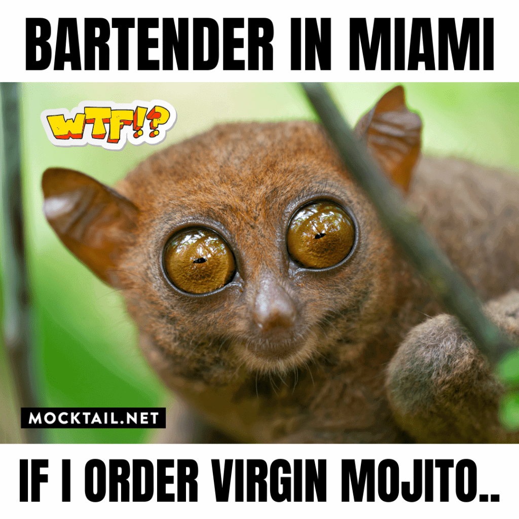 Alcohol Meme: Virgin Mojito in Miami 