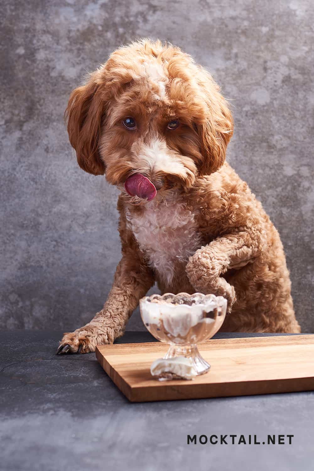 What is in a Puppuccino for dogs?