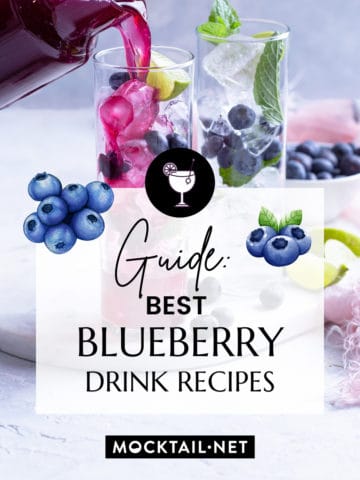 Best Blueberry Recipes Non Alcoholic Drink Guide