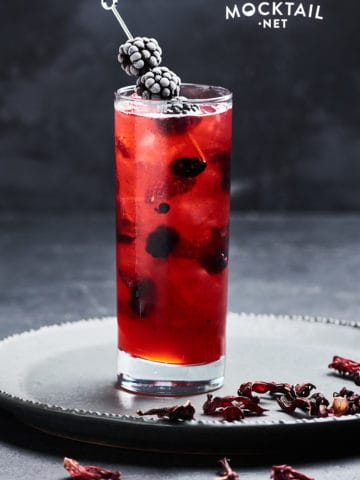 Homemade Very Berry Hibiscus Refresher 14