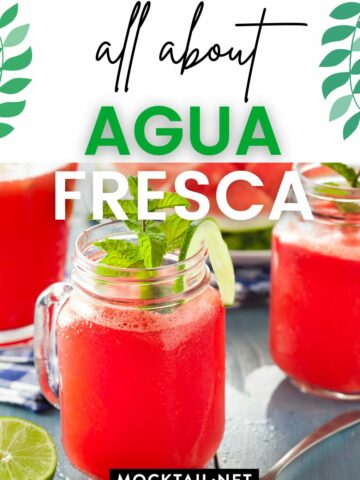 Agua Fresca Guide