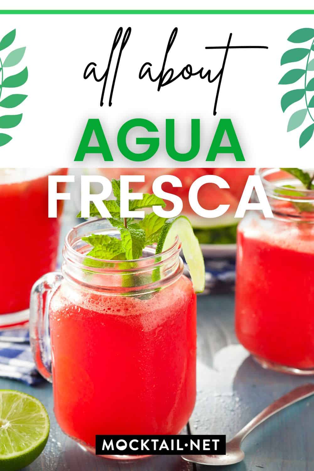 Agua Fresca Easy Recipe